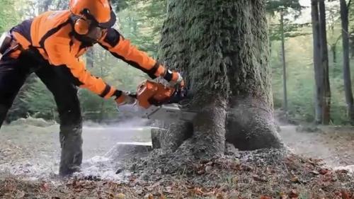 Motofierastrau cu benzina STIHL MS 661, 63cm, 1.6 mm