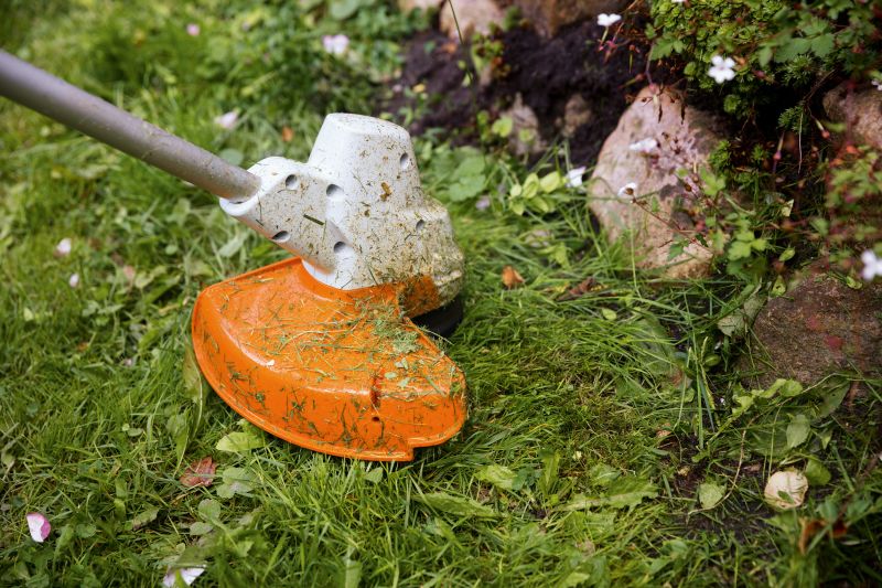 Motocoasa (trimmer) compatibil cu acumulator 36V, Stihl, SOLO (fara incarcator si acumulator), tip FSA56, sistem AK