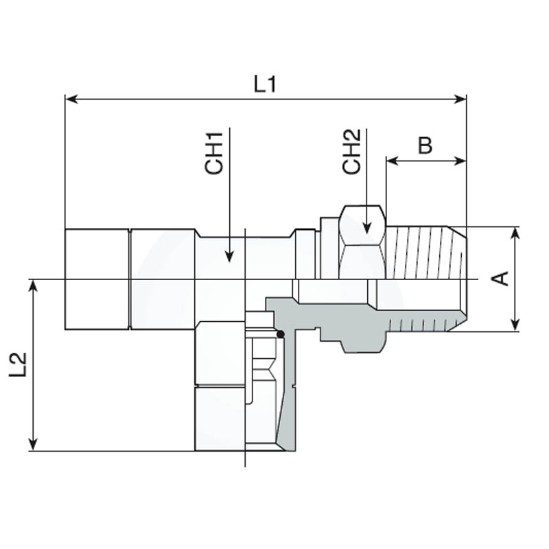 Racord automat push-in dublu tip T cu filet 1/8