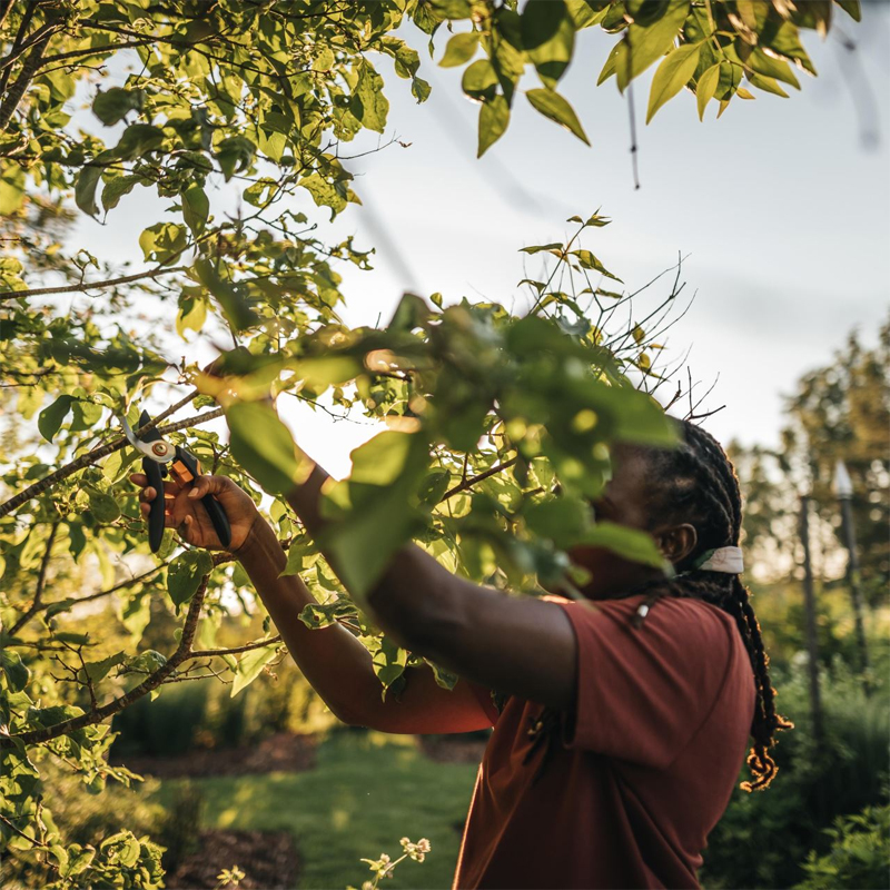 Foarfeca pentru gradina pas cu pas, tip Solid™ P321 (M), Fiskars