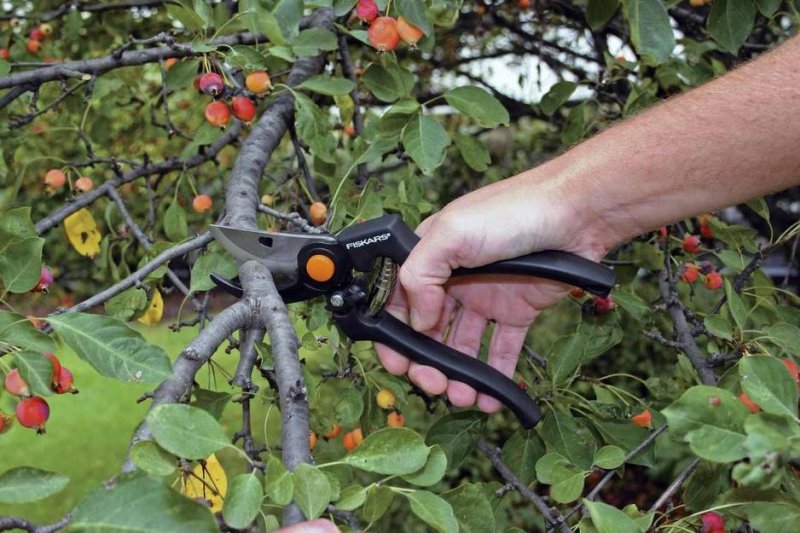 Foarfeca pentru gradina, Fiskars tip GardenPro™ P90