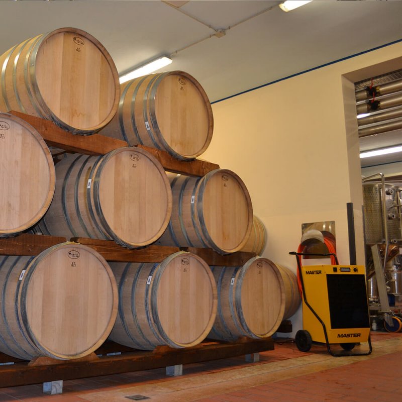 Dezumidificator profesional Heavy-Duty, 80l/24h, Master, tip DH92