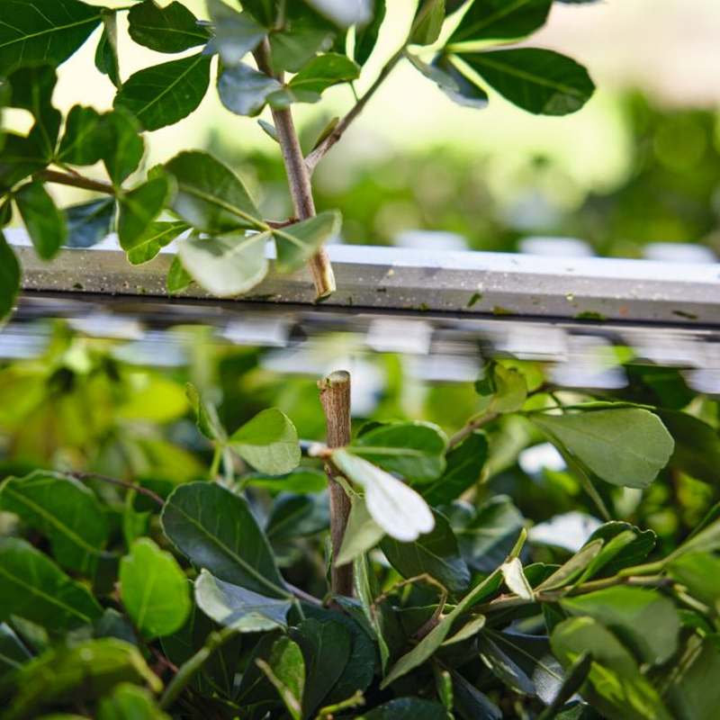 Foarfeca de tuns gard viu 45 cm, compatibila cu acumulatori 10.8V, Stihl, tip HSA30 SOLO (fara incarcator si acumulator), sistem AS