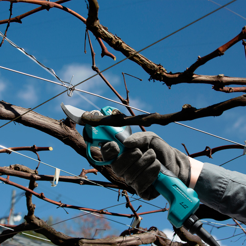 Foarfeca de taiat pomi si vita de vie cu lama standard, compatibil cu acumulatori Li-Ion LXT 18V, max. 30 mm, Makita tip DUP180Z