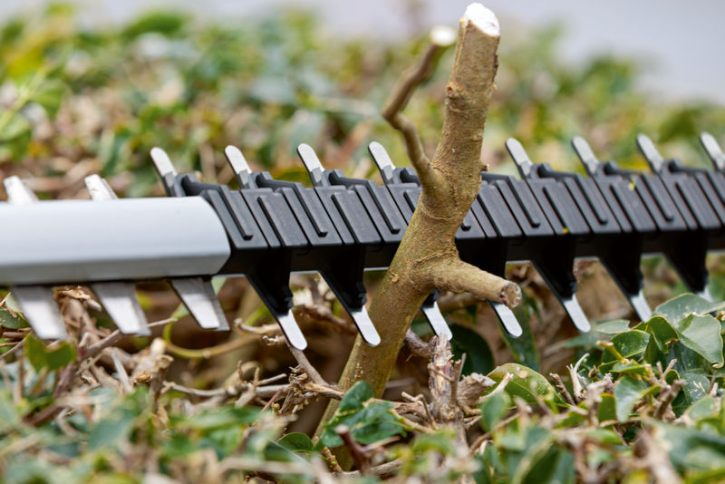 Masina/foarfeca de tuns gard viu 50 cm, cu acumulator 18V Li-Ion, SOLO, BOSCH tip GHE 18V-50