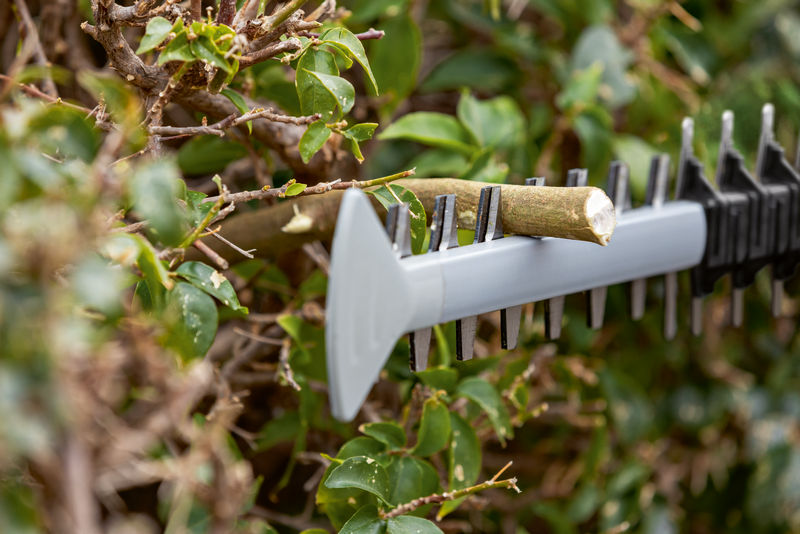 Masina/foarfeca de tuns gard viu 50 cm, cu acumulator 18V Li-Ion, SOLO, BOSCH tip GHE 18V-50