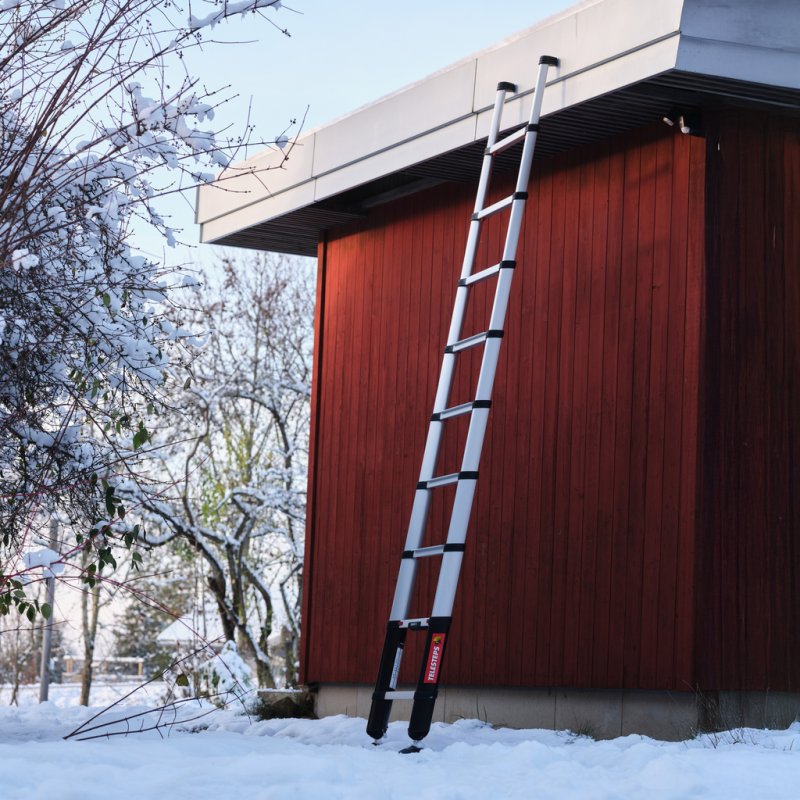 Tarusi de ancorare in pamant pentru piciorele telescopice Telesteps, Ground Spikes